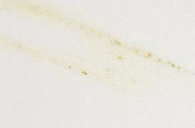 Stones International Bianco Lasa Vena Oro