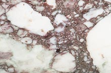 Stones International Calacatta Vagli Rosato