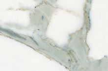 Stones International Calacatta Carrara