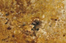 Stones International Juparanà  Oro