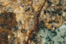 Stones International New Persa Green