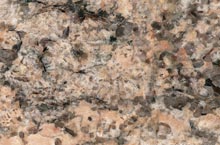 Stones International Coral Reef