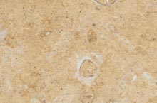 Stones International Yellow Dream