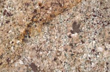 Stones International Shiva Gold