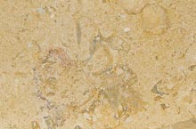 Stones International Breccia Sinai