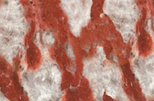 Stones International Rosso Francia Torquin