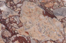 Stones International Breccia Colorata
