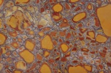 Stones International Breccia Frutticolosa