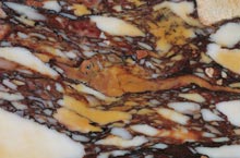 Stones International Breccia Colorata Antica