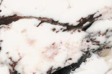 Stones International Breccia Capraia