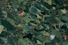 Stones International Breccia Fawakir