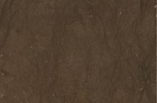 Stones International Kaesar Brown