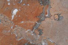 Stones International Noisette Fleury