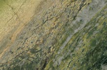 Stones International Irish Connemarble