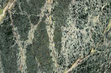 Stones International Rain Forest Green