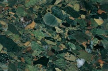 Stones International Breccia Fawakir