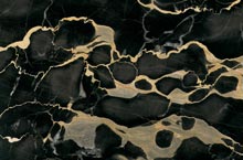 Stones International Portoro Macchia Grande