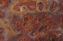 Stones International Onyx Rosso Tartaruga