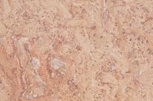 Stones International Travertino Scabas