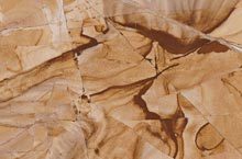 Stones International Teak Wood