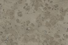 Stones International Moon Grey